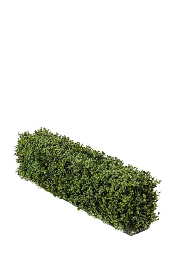 Siepe artificiale di bosso - Jannis | 100x25cm