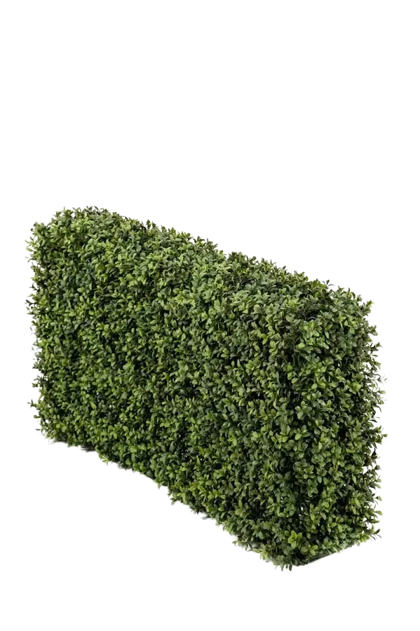 Siepe artificiale di bosso - Jannis | 100x50 cm