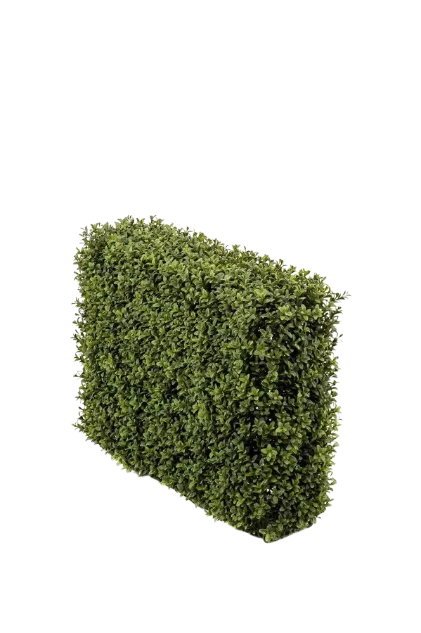 Siepe artificiale di bosso - Jannis | 70x50 cm