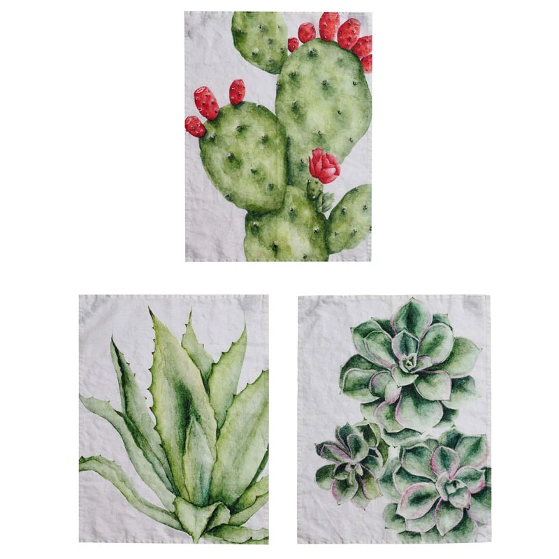 Simple Day Set 3 Canovacci Piante Grasse 50x68 cm