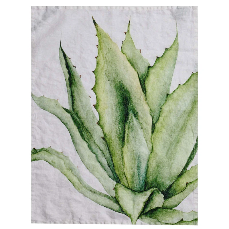 Simple Day Set 3 Canovacci Piante Grasse 50x68 cm