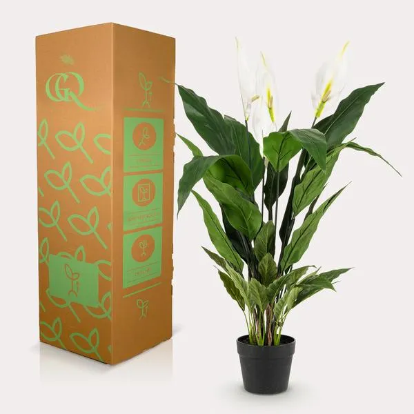 Spathiphyllum - fiore di luna artificiale