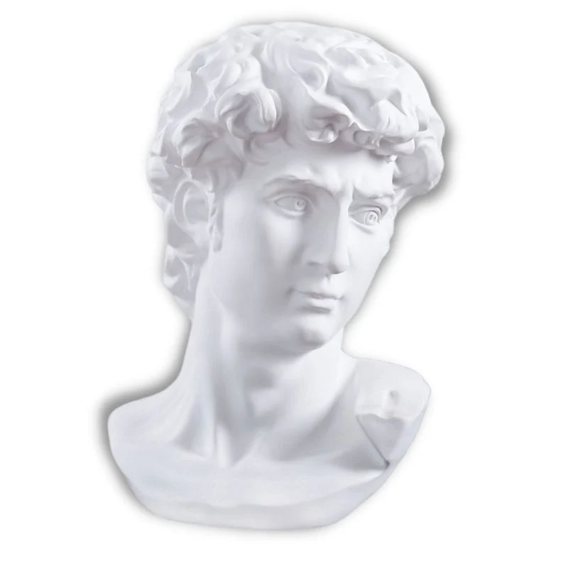 Statua del David Michelangelo