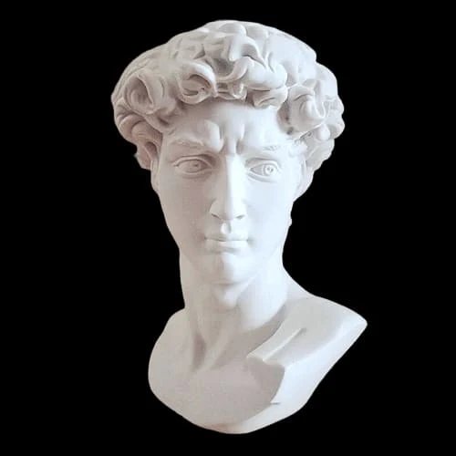 Statua del David Michelangelo