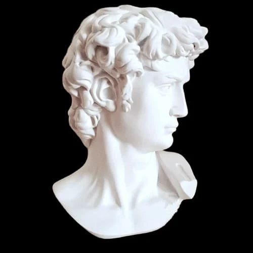 Statua del David Michelangelo