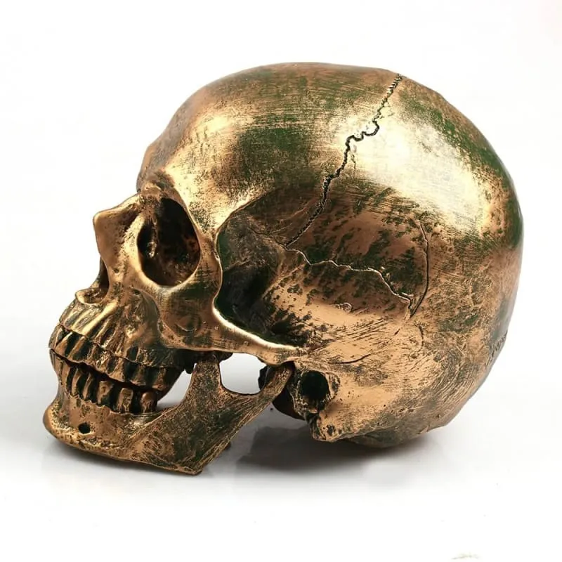 Statua del teschio Teschio d'oro 14 cm