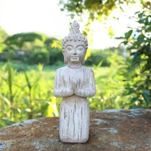 Statua di preghiera di Buddha resina 21 cm