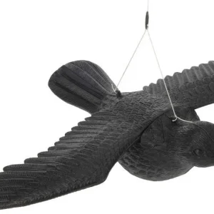 STATUETTA SCACCIA VOLATILI FORMA ANIMALE Corvo piedi - cm 35 x 19 x 13 Koopman