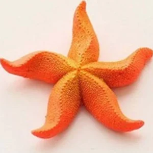 Stella Marina Artificiale Resina Per Decorazioni Acquario Corallo Finto 7x7cm