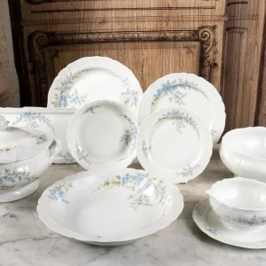 Stoviglie Limoges Fiori Azzurri 62 Pezzi