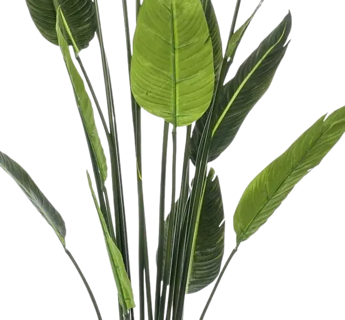 Strelitzia artificiale - Christian | 150 cm