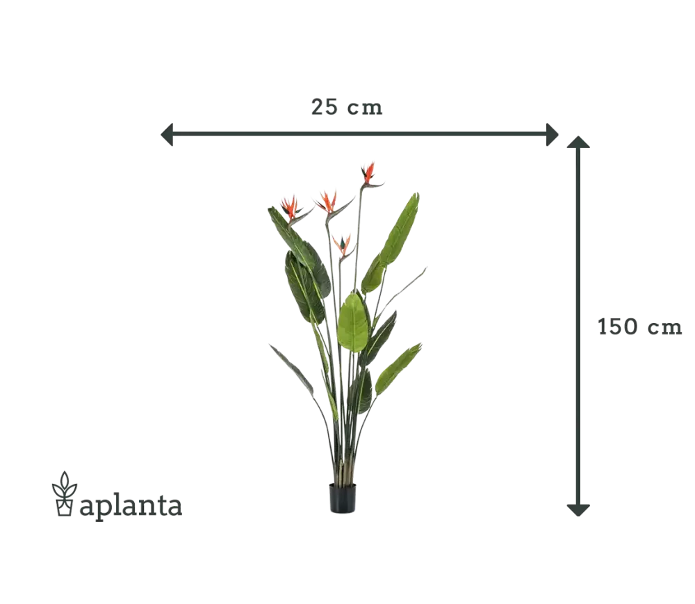 Strelitzia artificiale - Christian | 150 cm