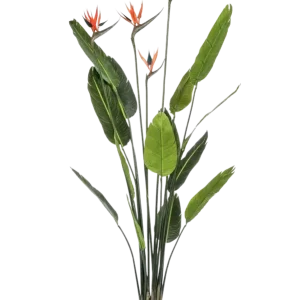 Strelitzia artificiale - Christian | 150 cm
