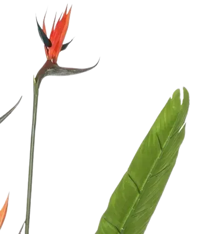 Strelitzia artificiale - Christian | 150 cm