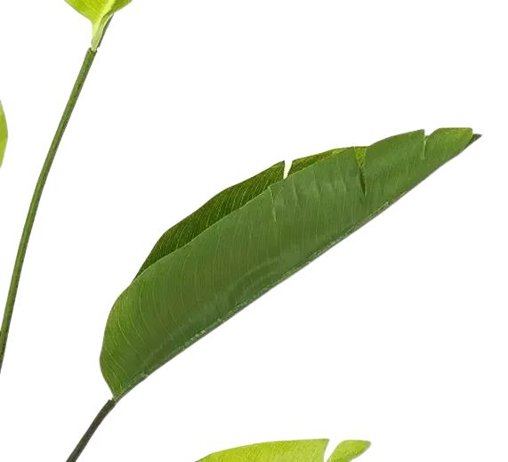 Strelitzia artificiale - Colin | 150 cm