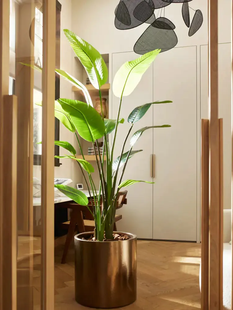 Strelitzia artificiale - Colin | 180 cm