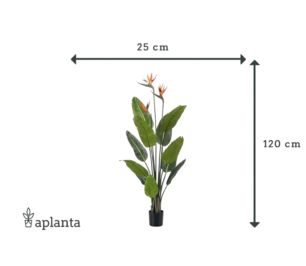 Strelitzia artificiale - Constantin | 120 cm