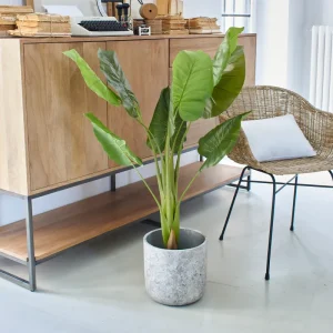 Strelitzia artificiale Jungle
