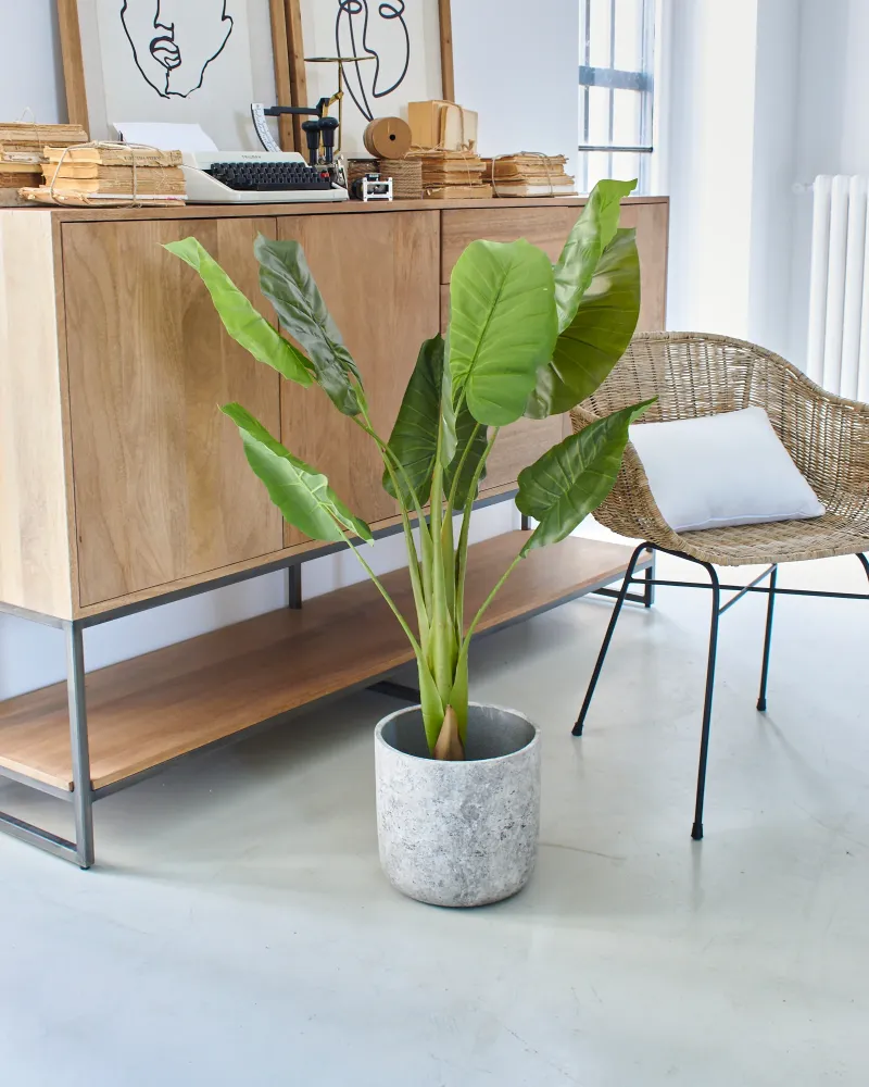 Strelitzia artificiale Jungle