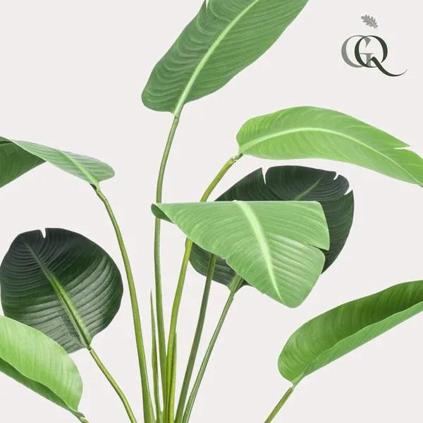 Strelitzia nicolai artificiale h120cm
