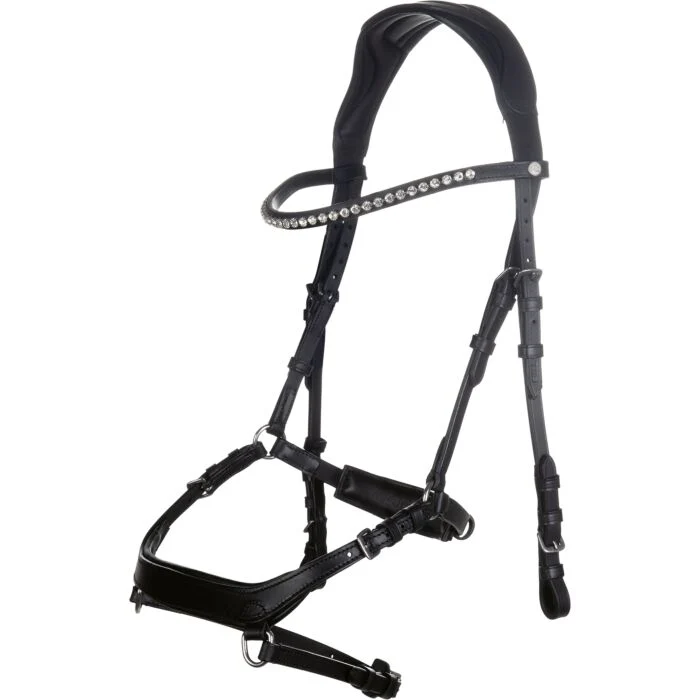 Testiera Anatomic pro