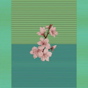 Tovaglia Feste gitane | Blossom candy
