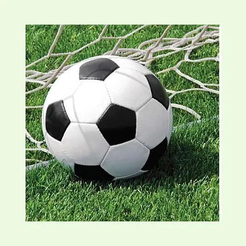 20 TOVAGLIOLI PALLONE DA CALCIO CM 33X33