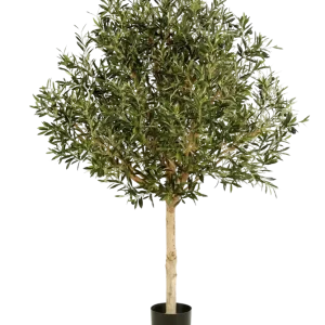 Ulivo artificiale - Edera | 150 cm