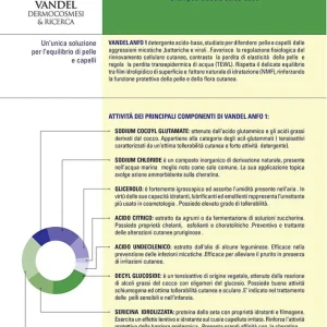 Vandel Anfo Detergente antibatterico/ micotico 250ml Vandel Dermocosmesi E Ricerca