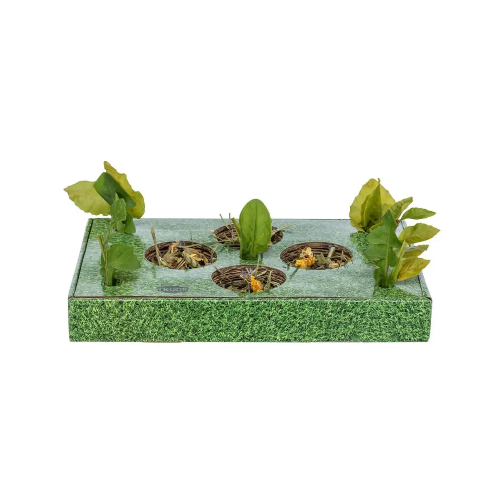 Vassoio per aperitivi Trixie Verde Cartone 28 x 3,8 x 18 cm
