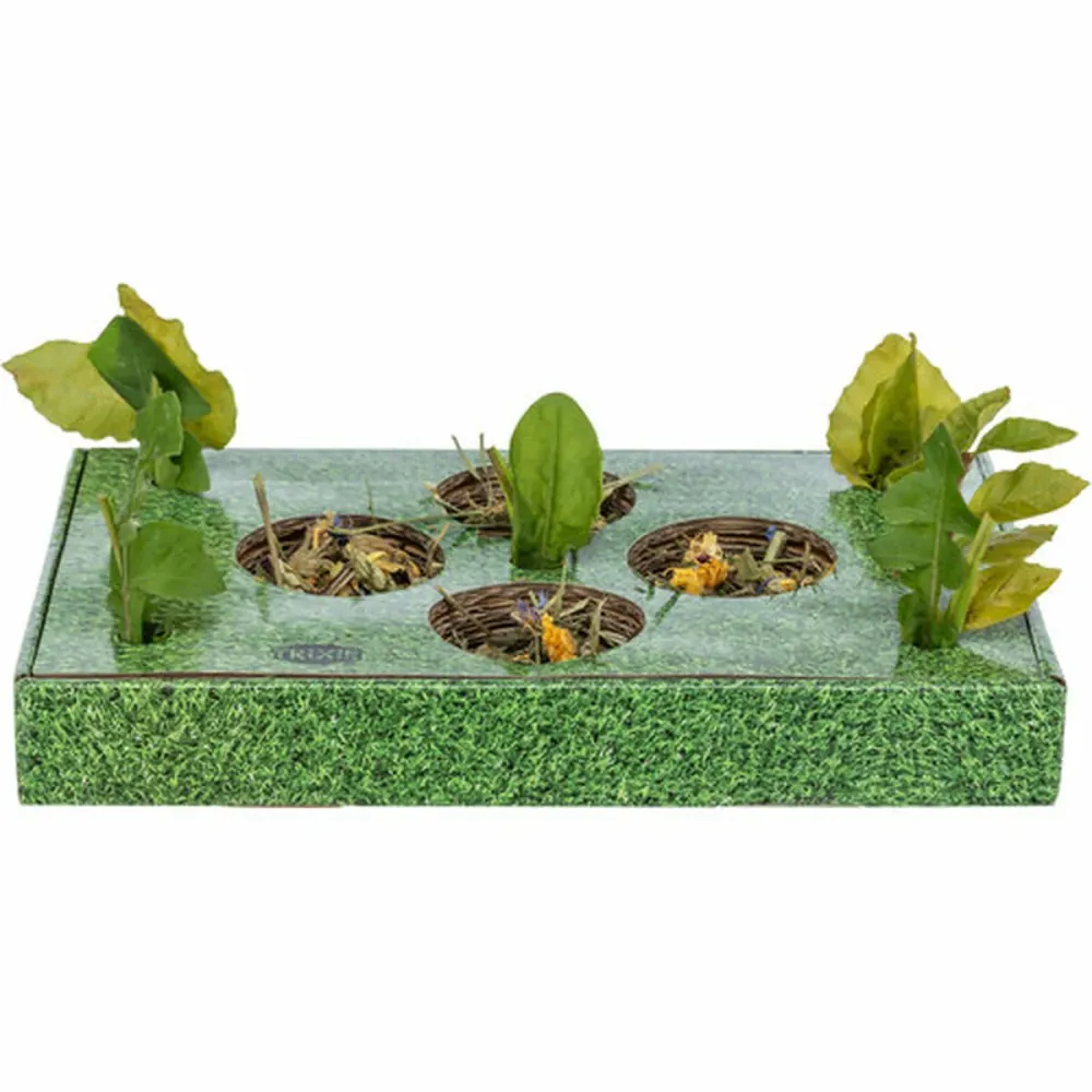 Vassoio per aperitivi Trixie Verde Cartone 28 x 3,8 x 18 cm