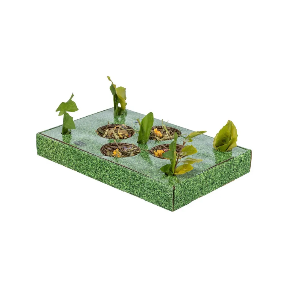 Vassoio per aperitivi Trixie Verde Cartone 28 x 3,8 x 18 cm