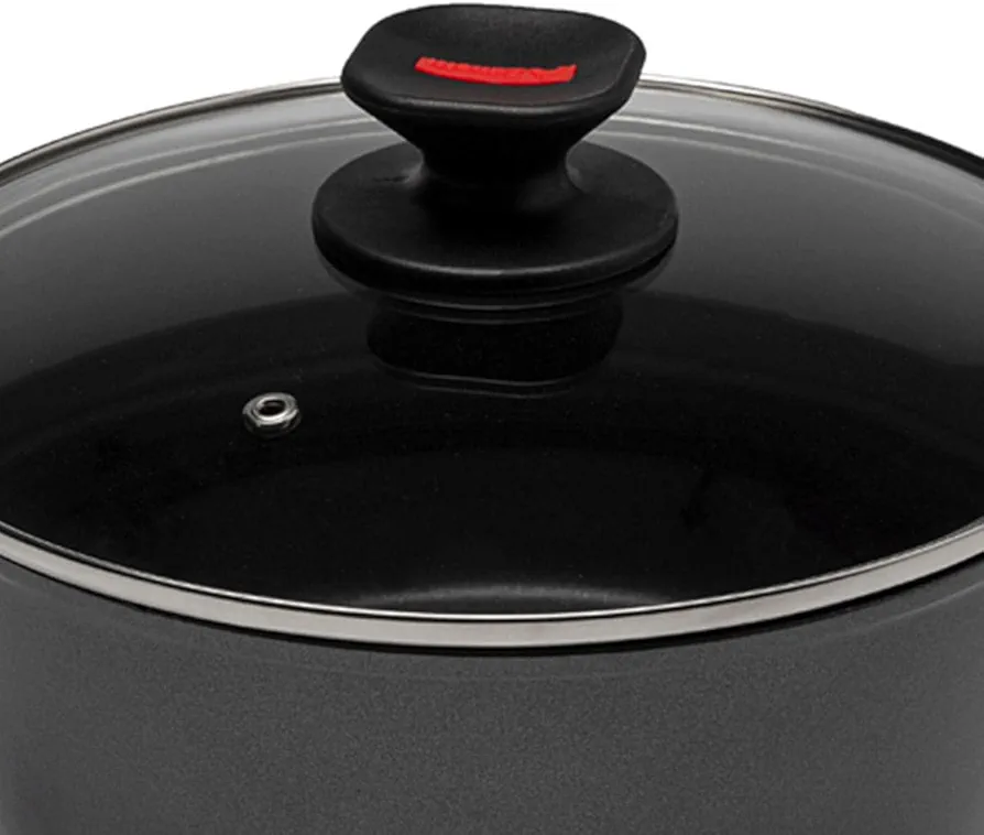 Zanetti Evolution Casseruola Antiaderente 24 cm con Coperchio | Fondo Induzione | Spessore 4 mm | Doppio Manico Soft Touch
