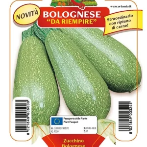 Zucchino bolognese da riempiere Mexicana F1 - 1 pianta v.10 cm - Orto Mio