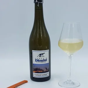 DIONISI BOTTIGLIA DI VINO BIANCO