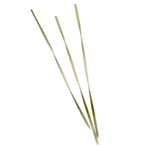 Cf 100 Spiedo Bamboo Twisted Cm.10 Nero