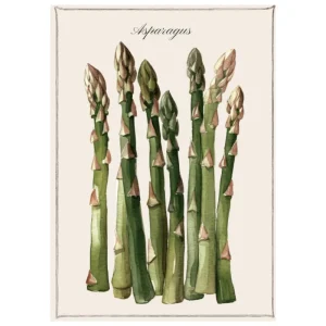 Canovaccio cotone Asparagus