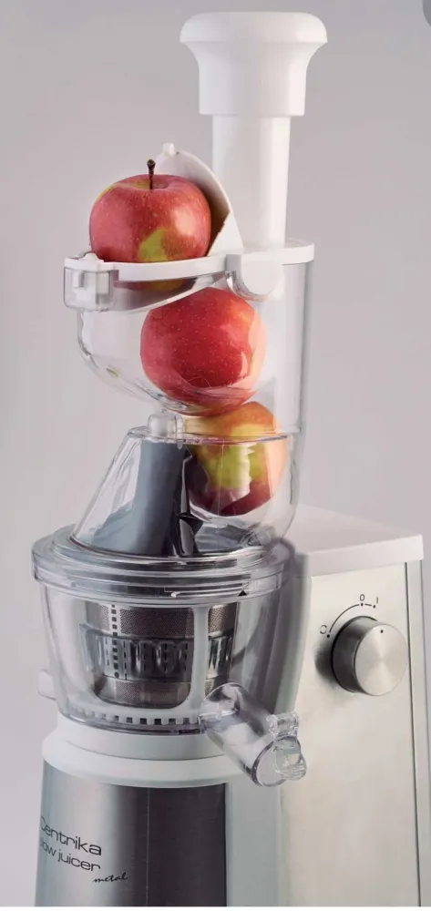 Centrika Slow Juicer Metal