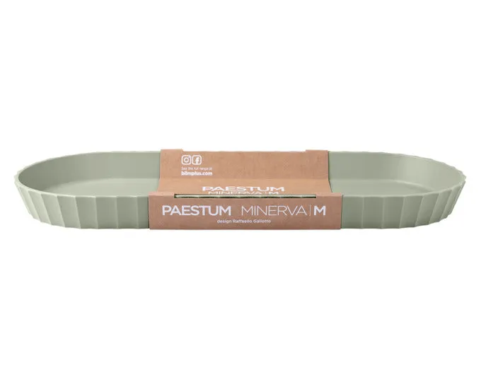 Dimensione Minerva del vassoio Bilm Plus. M 37.5x15 cm M-Forest