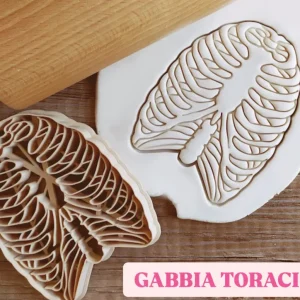 Formina Gabbia Toracica ( taglia dolci )