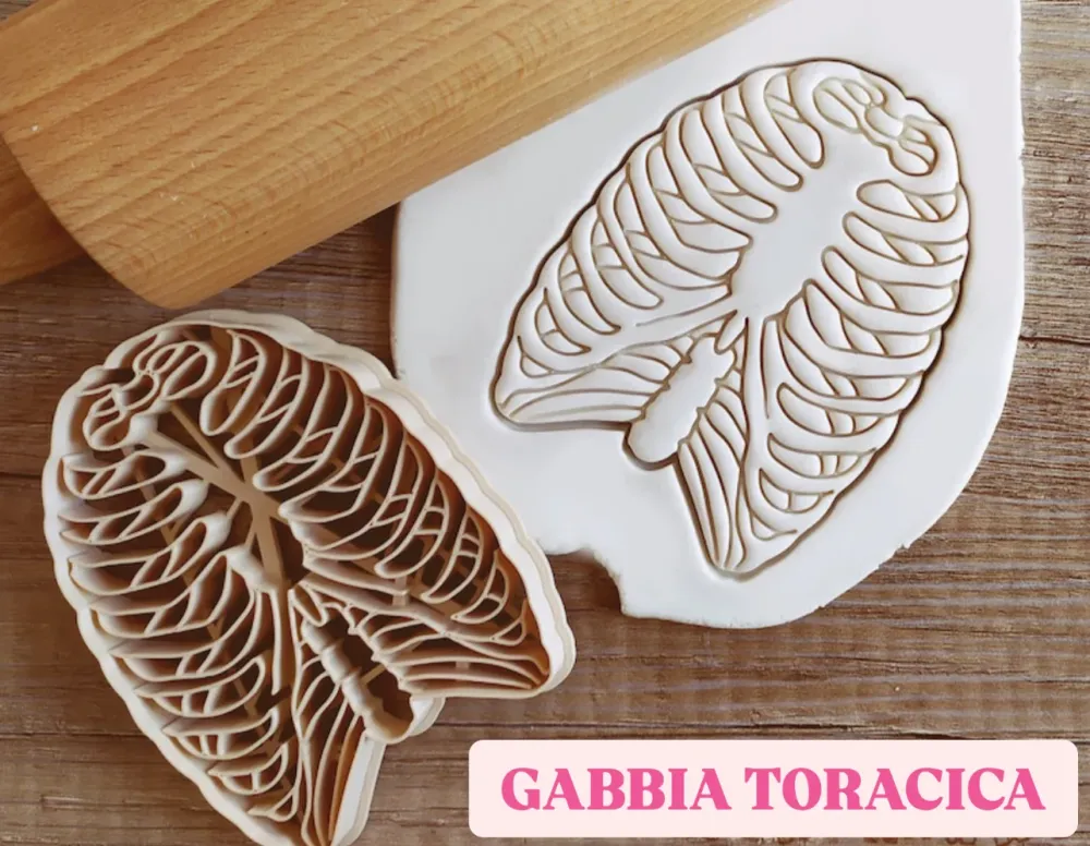 Formina Gabbia Toracica ( taglia dolci )