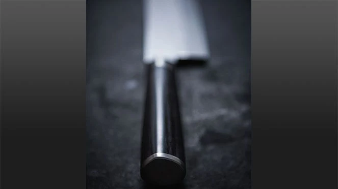 KAI Yanagiba Shun Pro Sho