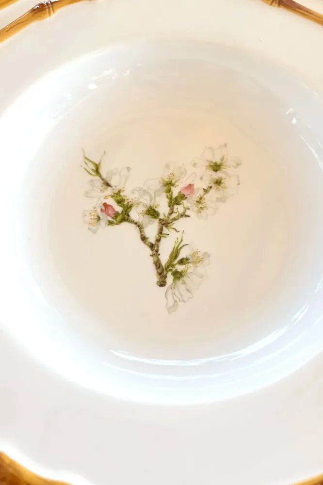 Piatto fondo design Bambù & Fiore di mandorlo