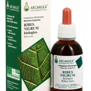 RIBES NIGRUM GD BIO 100 ML