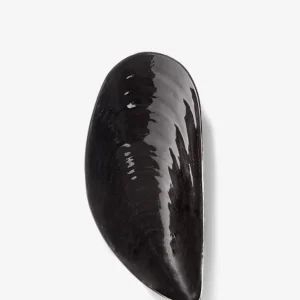 Ciotola di cozze Marcel M Serax
