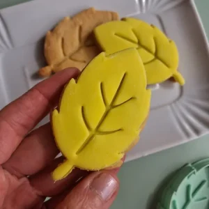 Stampo per biscotti forma di Foglia 7