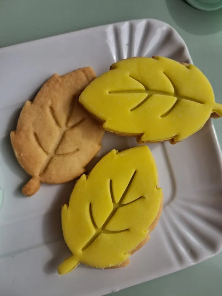 Stampo per biscotti forma di Foglia 7