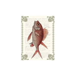 Vassoio/ mattonella Pesce