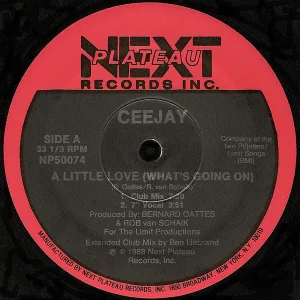 Ceejay ‎– Little Love (What's Going On) (12", 45 RPM - US)