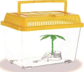 Acquario Vaschetta Pesci Tartarughe Coperchio Maniglia Presa Aria 21x13.5x14 Cm